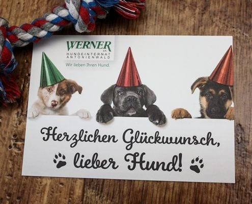 Glückwunschkarte Osnabrück Hundeinternat Antonienwald