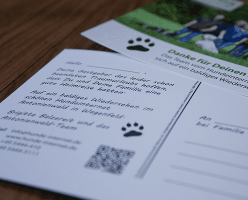 Postkarte drucken lassen Osnabrück Hundeinternat Antonienwald