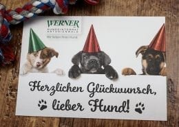 Glückwunschkarte Osnabrück Hundeinternat Antonienwald