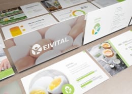Produktpräsentation EiVital