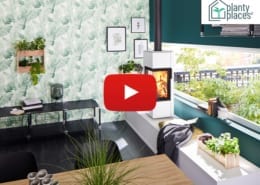 Vorstellungsvideo Planty Places GmbH