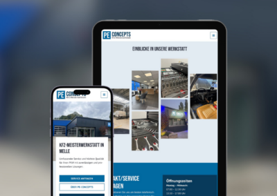 Webseite „PE Concepts“